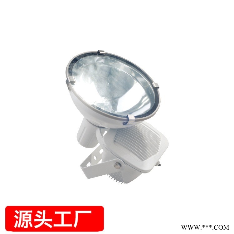 50W300W防水户外照明工厂工程工矿灯 低频无极投光灯 射灯图1
