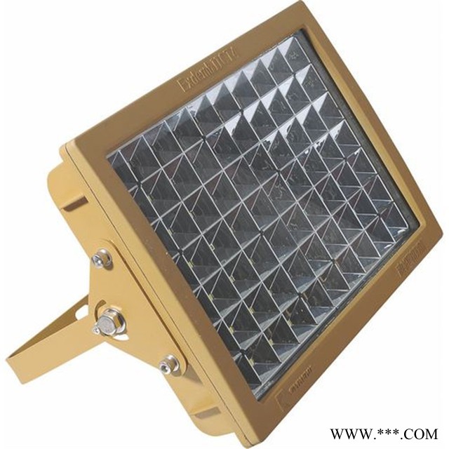 喷漆房led防爆灯70w贵州led防爆吊灯60w,铜仁led防爆厂房灯80w图1