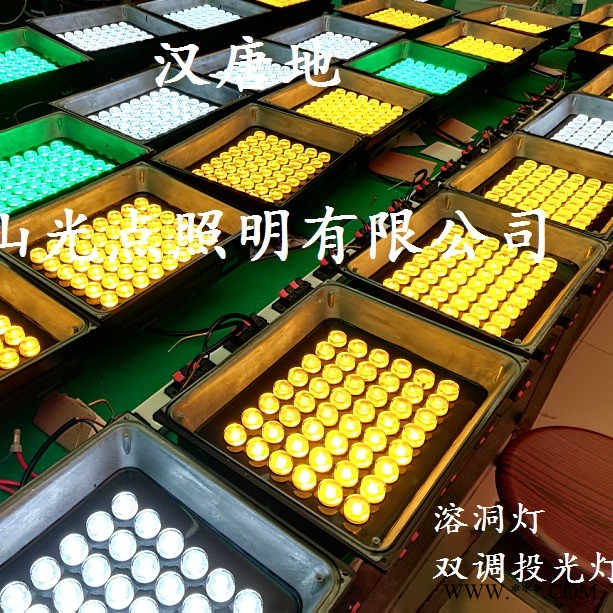 佛山光点照明有限公司专注溶洞亮化照明灯具供应 染色投光灯 射灯 步道路灯 色温RGB和单色光 型号GDZM-TD09图1