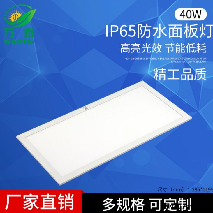 万泰厂家直销 295x1195LED集成吊顶灯 IP65防水面板灯厨卫灯吸顶灯.图1