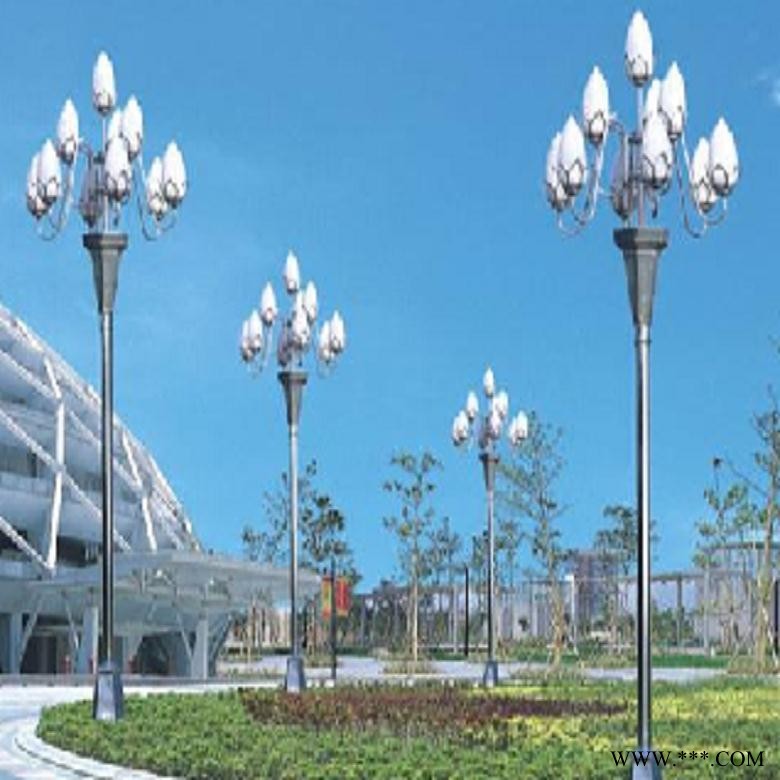 商洛山阳县路灯，商洛山阳县射灯厂家直销图1