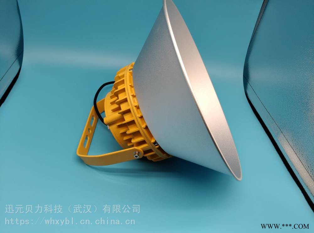 100W防爆灯-LED防爆射灯100W-贝力照明图1