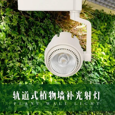 深圳供应绿植墙补光灯植物墙生长灯室内雨淋缸幸福树平安树花卉植物店补光灯LED轨道式射灯XIHV