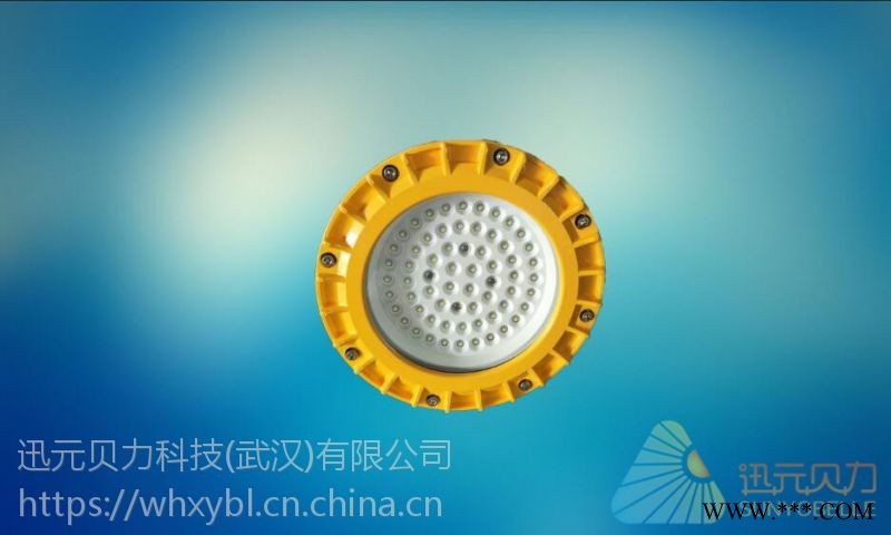 武汉市LED防爆吸顶灯LED防爆隧道灯50W100W图1