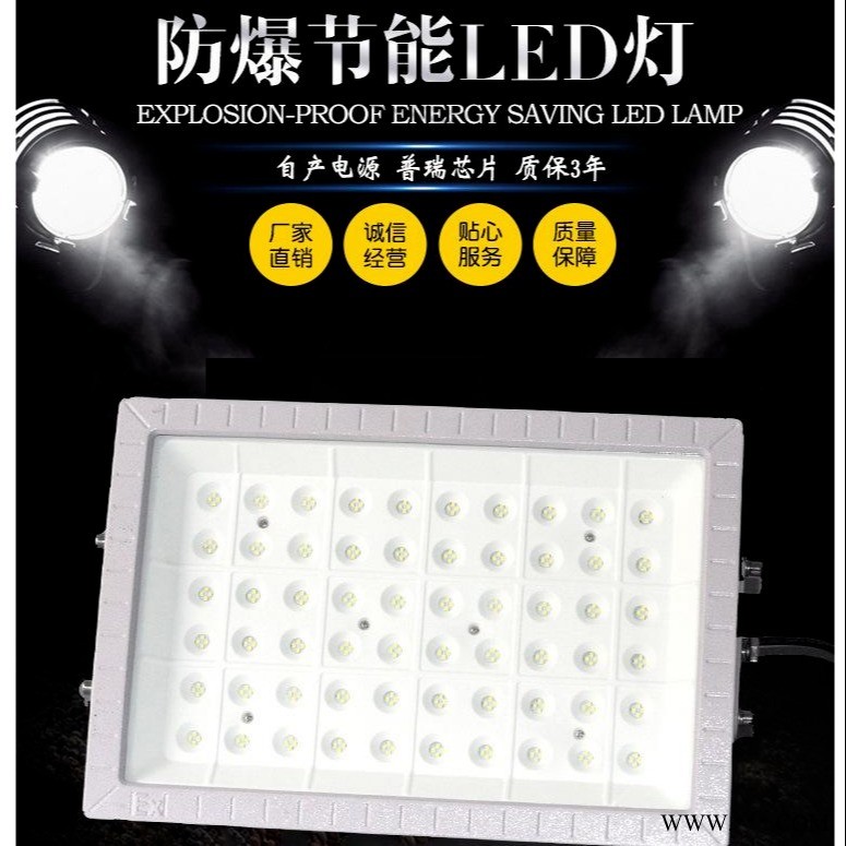 洲创电气防爆灯LED 防爆泛光灯 LED防爆投光灯 防爆射灯   LED三防灯图1