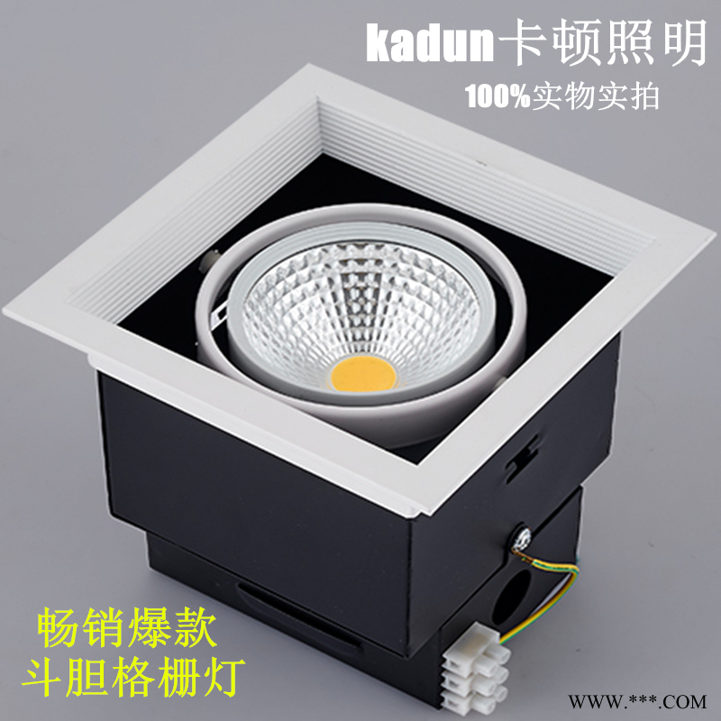 LED斗胆灯防眩格栅灯遥控调光调色可控硅调光单头双头三头家具店COB豆胆灯新款图1