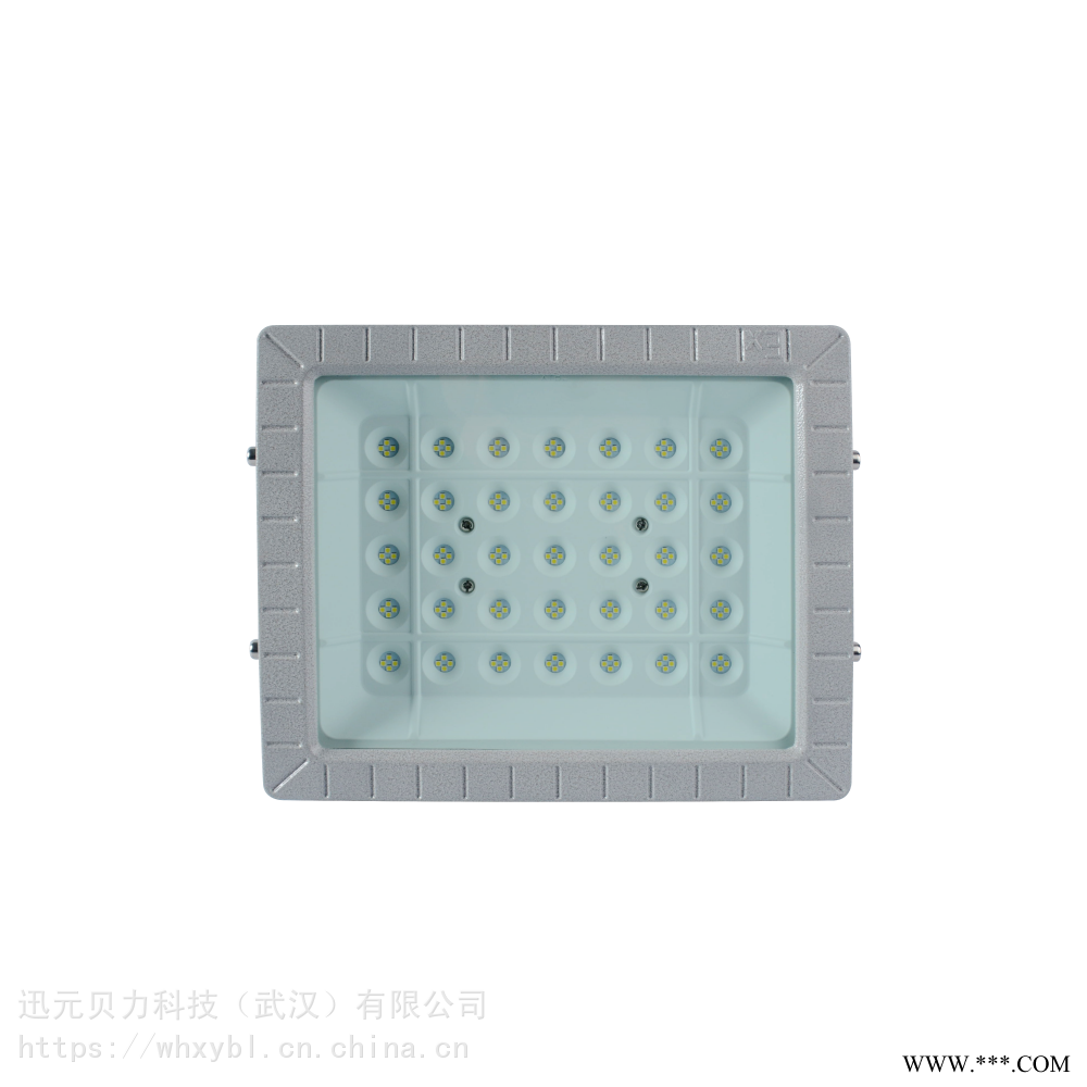 CCD97-50WCCD97-100W吸壁式防爆吸顶灯图1