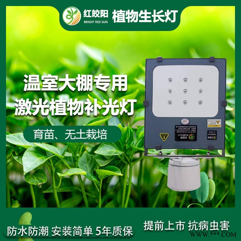 红皎阳激光植物生长灯温室育苗专用大棚补光灯一亩地一台灯一个月三度电节能组培无土栽培植物灯图1