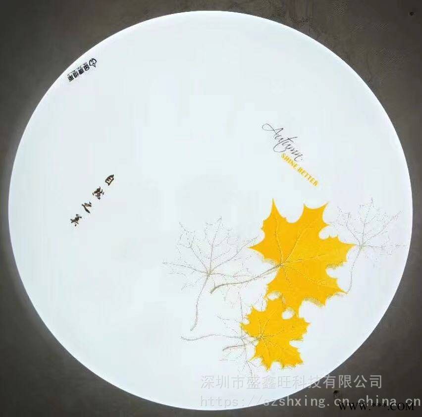 外贸灯具客户可来样定制，全国供应LED吸顶灯图1