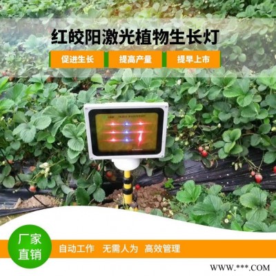 樱桃  葡萄补光灯 一亩地一台灯 充分补光延长花期 提高产量 提前上市