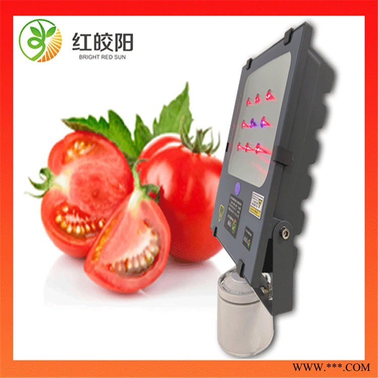 红皎阳西红柿专用补光灯 c202型号 18颗灯珠 一台灯照射接近两亩地图1