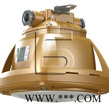 供应浙江金顿厂家直销FGV1206-LED 免维护固定式防爆吸顶灯证书齐全价格仅供参考图1
