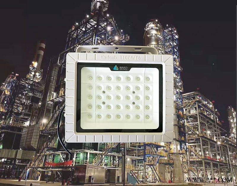 武汉市 防爆吸顶灯隧道灯50W 100W 免维护图1