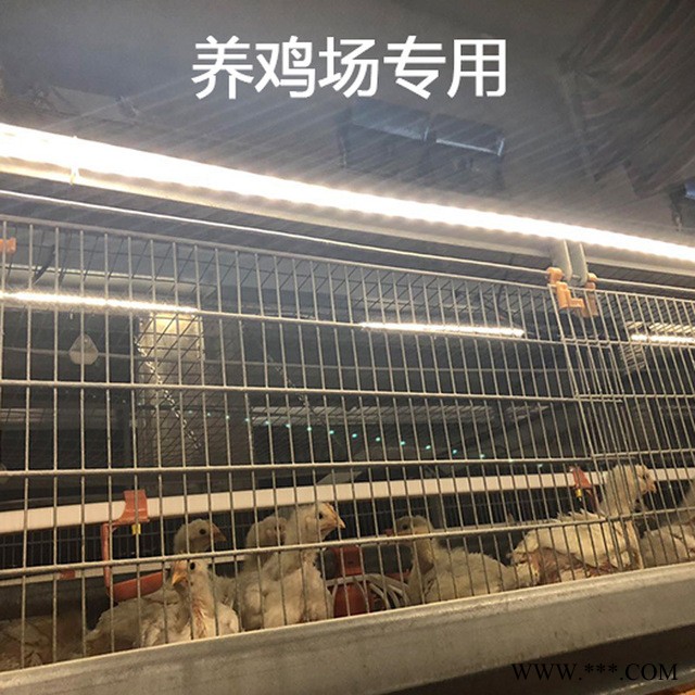 家禽养殖灯专用可调光低压36V-52V普瑞斯防水PRS-T5 LED灯管3W-5W图1