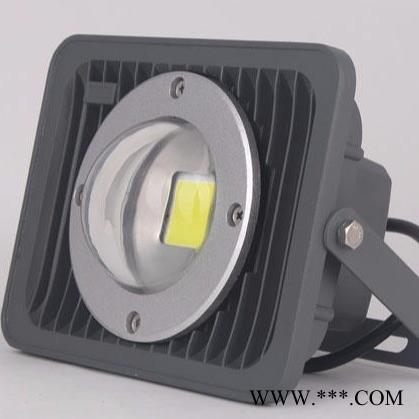 LED投光灯 LED户外防水投光灯 投光灯定制 投光灯生产厂家普瑞斯PF61L-50W 70W 80W 100W图1