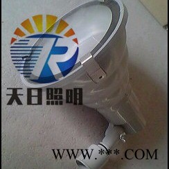 GDTG616高强投光灯、GDTG168投光灯 天日照明投光灯 GDTG130节能投光灯图1