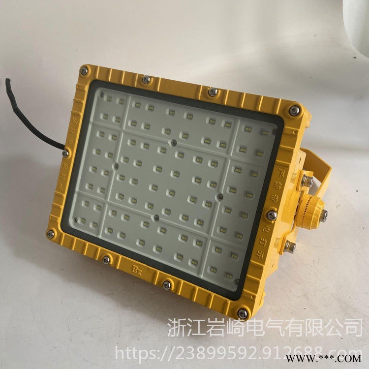 煤矿厂防爆投光灯 方形LED100W投光灯 洗煤厂方形LED防爆投光灯 100WLED方形防爆投光灯图1