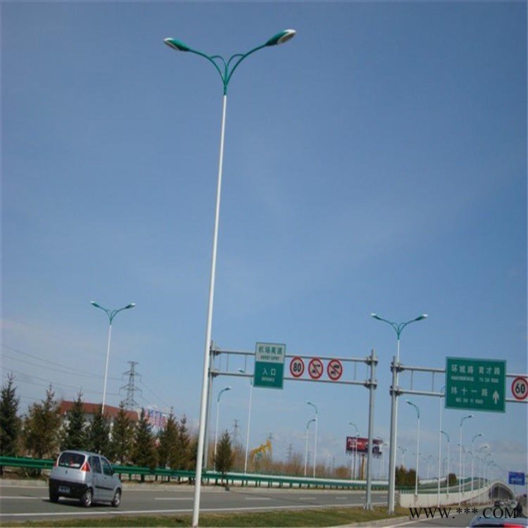 10米高低臂市电路灯   市政接线220V路灯   富阳市路灯厂家直销图1