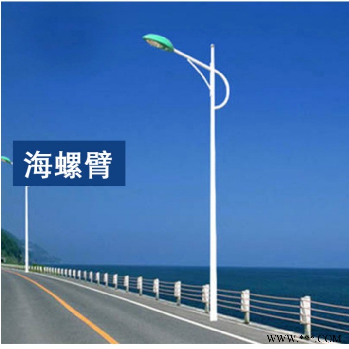 瓦房店市电路灯生产厂家  LED市电路灯本地专卖, 5米6米7米8米各规格市电路灯定制图1