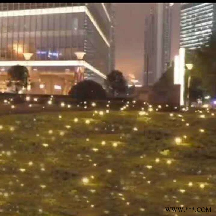 LED萤火虫灯 草坪灯  萤火虫灯出租图1