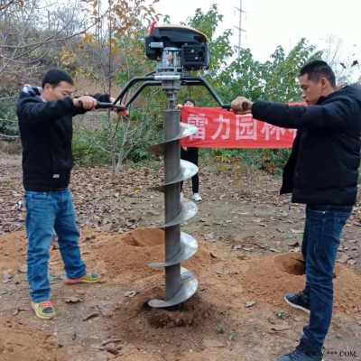 雷力安装路灯基柱打洞机 手扶挖桩孔打眼机 打桩取土机