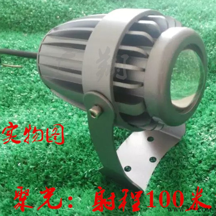 厂家直销 led聚光投光灯 聚光投光灯 LED射树灯图1