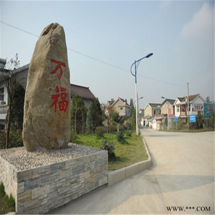 市政接线220V路灯厂   高低双臂市电路灯定制  如皋市路灯厂家价格图1