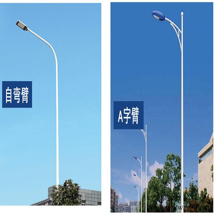 朝阳市电路灯生产厂家  LED市电路灯本地专卖, 5米6米7米8米各规格市电路灯定制图1