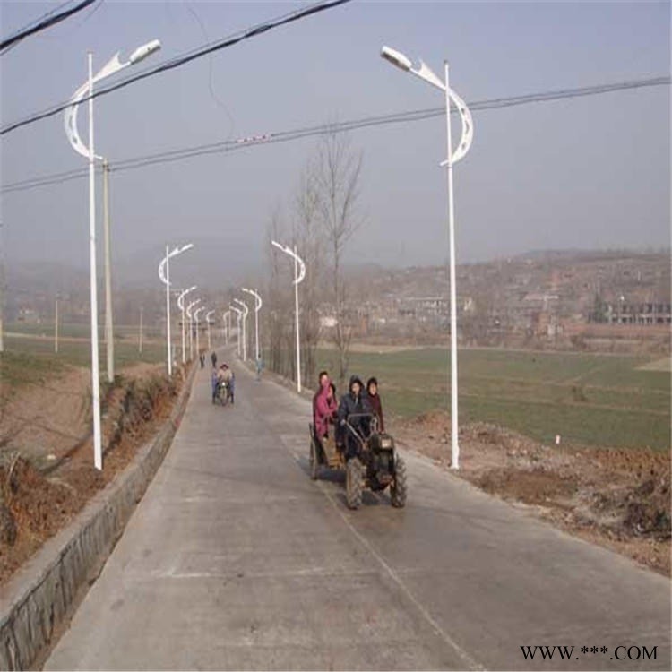 市政接线220V路灯厂   高低双臂市电路灯定制  南通市路灯厂家价格图1