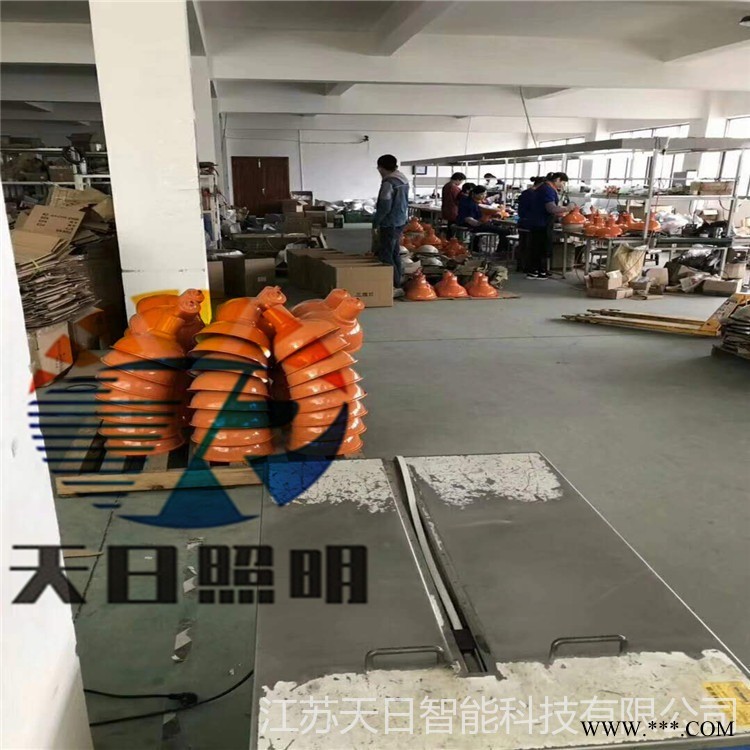 TG65投光灯 NGF防水防潮TG65投光灯 天日照明GDTG65防水防尘投光灯图1