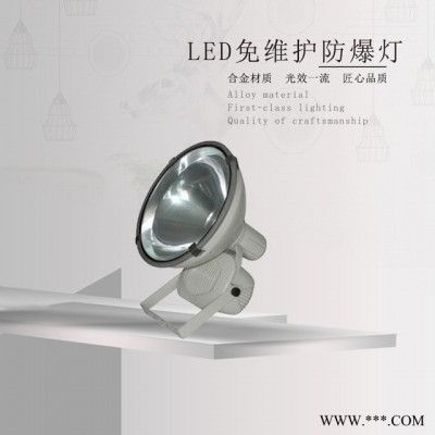 正安防爆ZT6900防水防尘防震投光灯-三防投光灯
