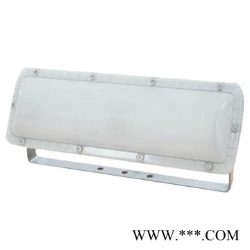 供应浙江金顿投光灯 GT315-XL24IIB AC/CD24-36V 5000K证书齐全价格仅供参考图1