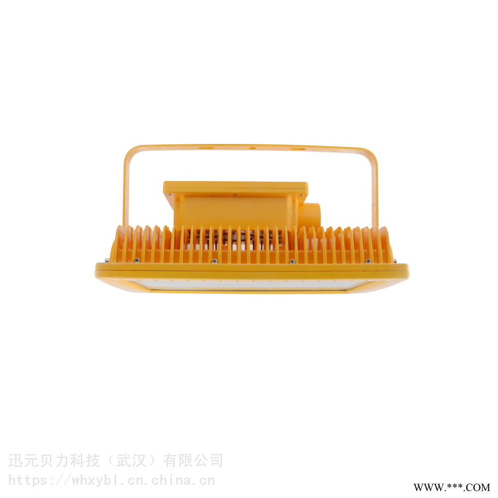 供应BSX86-M2锅炉间防爆投光灯-BSX86-M2钢铁厂防爆投光灯图1