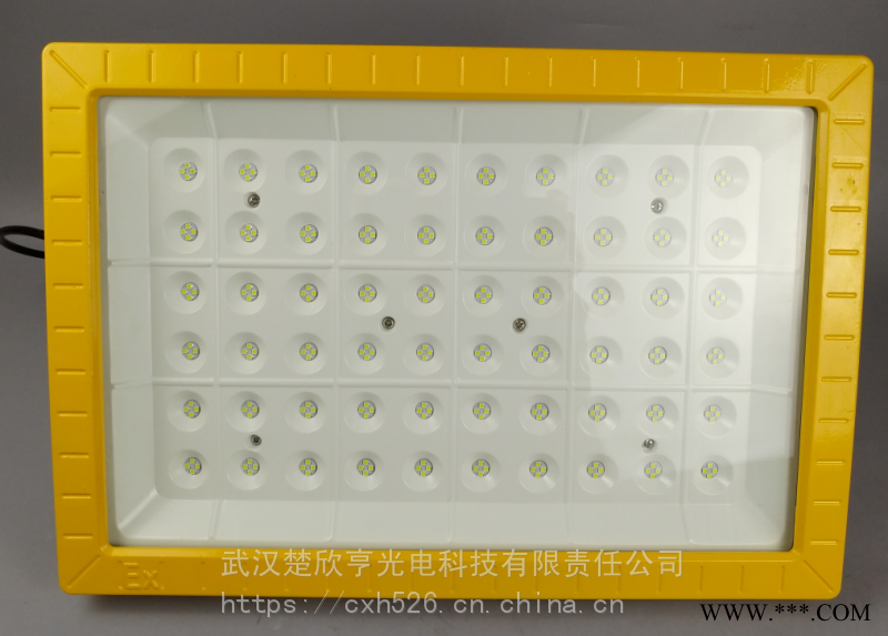 火电厂核电站LED防爆投光灯300W200WLED防爆投光灯100WLED防爆灯图1