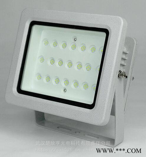 华荣GT311-XL80投光灯LED投光灯GT311-XL8080W220V图1