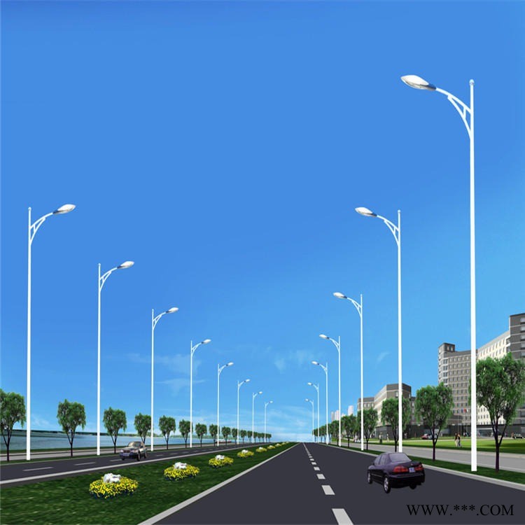 钦州做路灯厂家 厂家直销路灯批发 农村工程路灯  耀中光电    YZ-02589图1