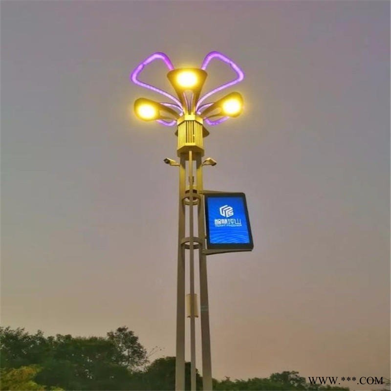 遵义智慧路灯厂家 智慧路灯5G充电桩城市照明物联网太阳能智能路灯灯杆6/7/8米定制图1