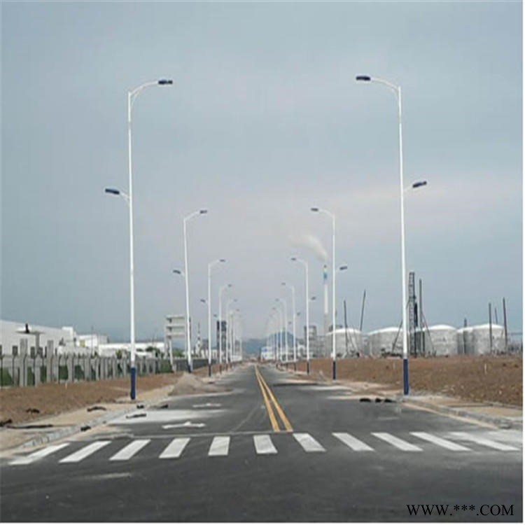 蚌埠市路灯厂家直销  8米双臂市电路灯  接电路灯220V图1