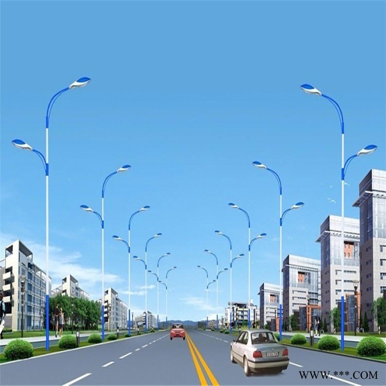 耀中照明市电路灯    蚌埠6米8米10米市电路灯厂家     大功率路灯厂家定制YZ-025677图1
