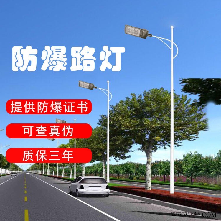 防爆路灯 家用太阳能防爆路灯 led防爆100W路灯 金秋 价格优惠图1