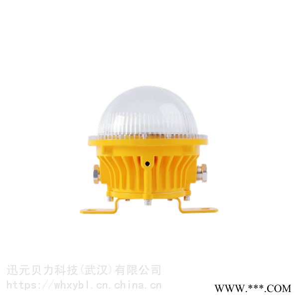 50W防爆投光灯护栏式-50W防爆投光灯吸顶式图1
