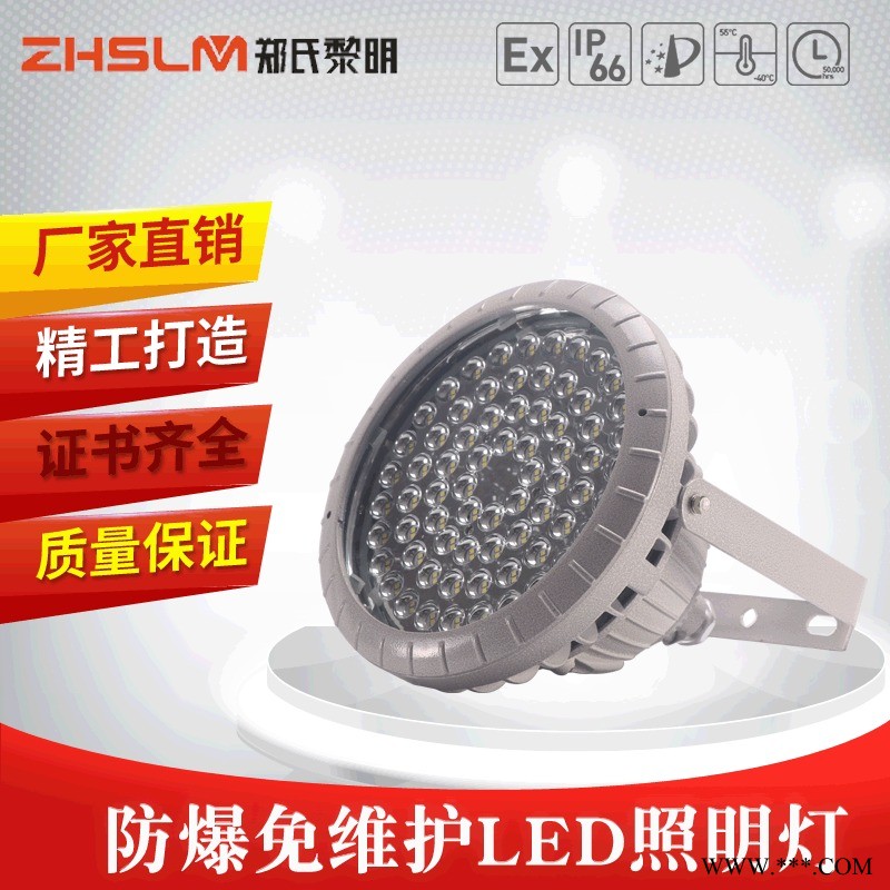 郑氏新黎明防爆免维护LED泛光灯照明灯BCD系列化工厂专用灯仓库车间投光灯图1