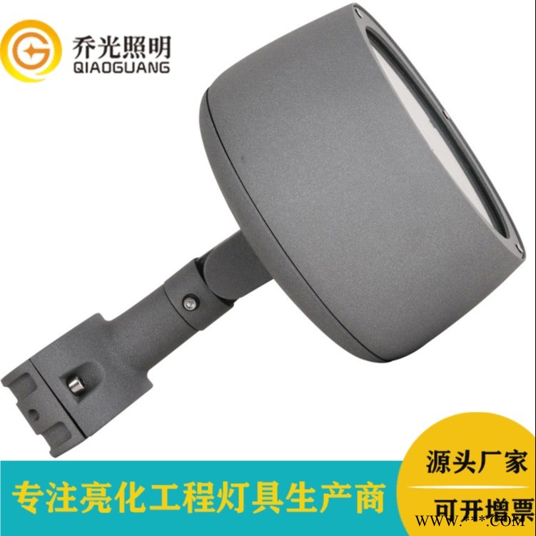 园区景观灯18W 24W 36W 72W户外防水景观亮化公园照树灯LED七彩投光灯图1