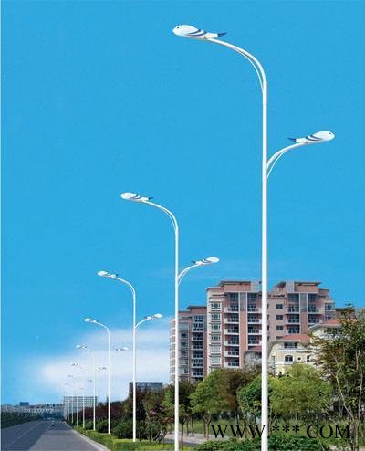 四川路灯厂家，成都灯杆厂，双臂路灯，6m单臂市电路灯图1
