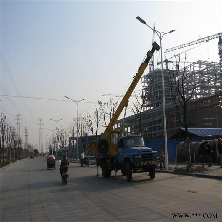 芜湖市路灯厂家直销  8米双臂市电路灯  接电路灯220V图1