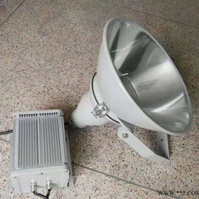 SW7500防震型投光灯光大EBF203三防投光灯变电站厂房照明灯亮聚福