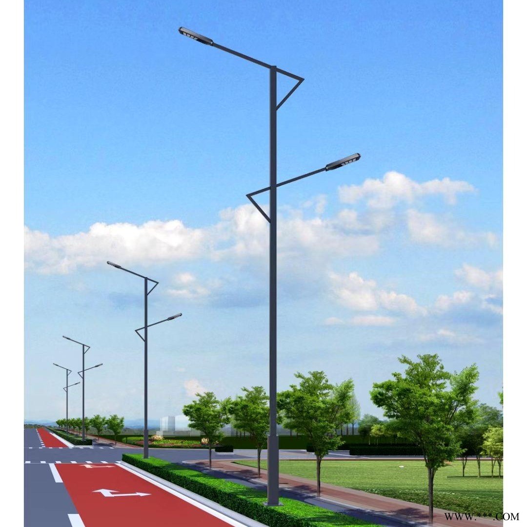 霁月路灯 双臂路灯 市政路灯 LED光源 高10米 灯杆热镀锌喷塑 生产厂家 实地考察图1