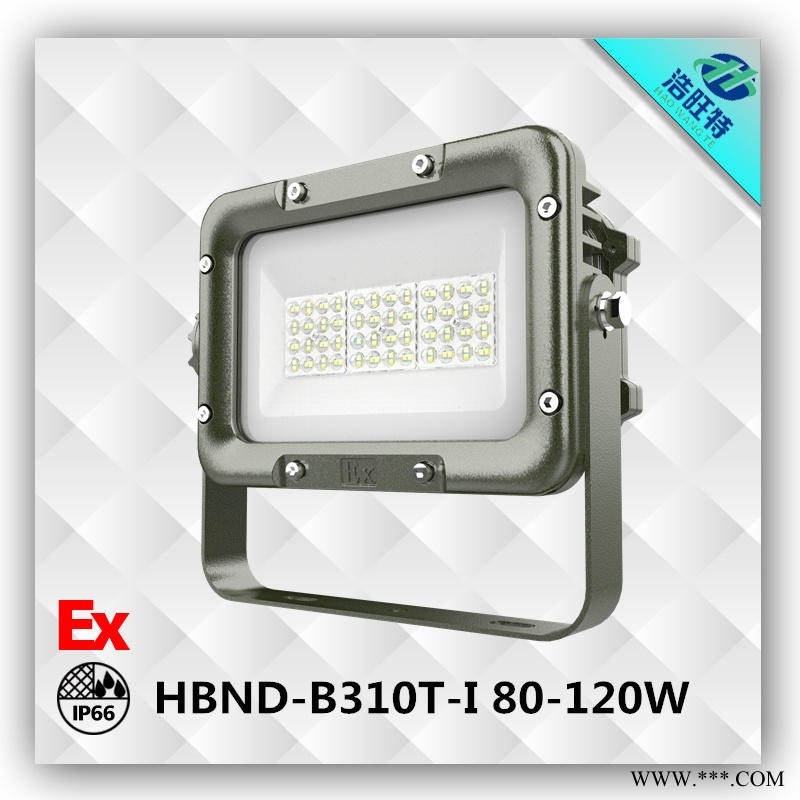 浩旺特HBND-B310T-ILED防爆投光灯 120WLED防爆灯  LED防爆灯厂家直销图1