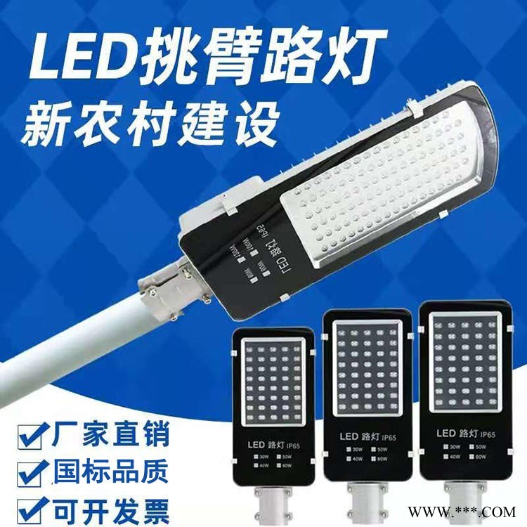 英谷光电YG-01挑臂路灯 太阳能led路灯价格表 风光互补路灯 太阳能路灯批发图1