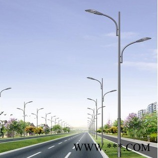 山东滨州路灯厂家 LED路灯 400钠灯 金卤灯 双管造型路灯图1